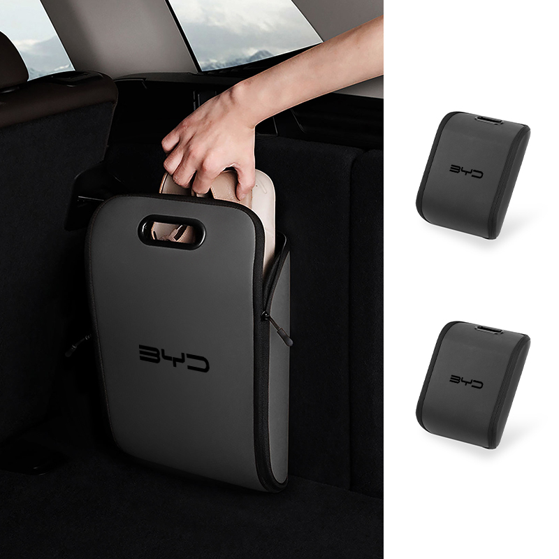 Sneaker Case - Car Sneaker Bag Shoes Case Gym